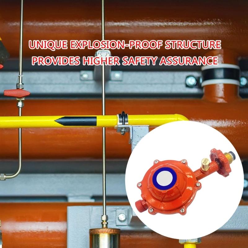 Liquefied Petroleum Gas Control Valves Home Safety Explosions Proof Pressure Regulator Metal Texture Gas Regulator