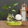 1PC Ornament Vibrant Vase Living Room Panda Gift Tea Table Ornament Desktop Hydroponic Home Adorn