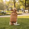 Household Waterproof Winter Dog Coat Warm Fleece Dog Cotton Jacket Thickened with D Shape Ring Puppy Costume Small Medium Dogs