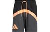 Casual Shorts Men's Gray Moderate IC1954