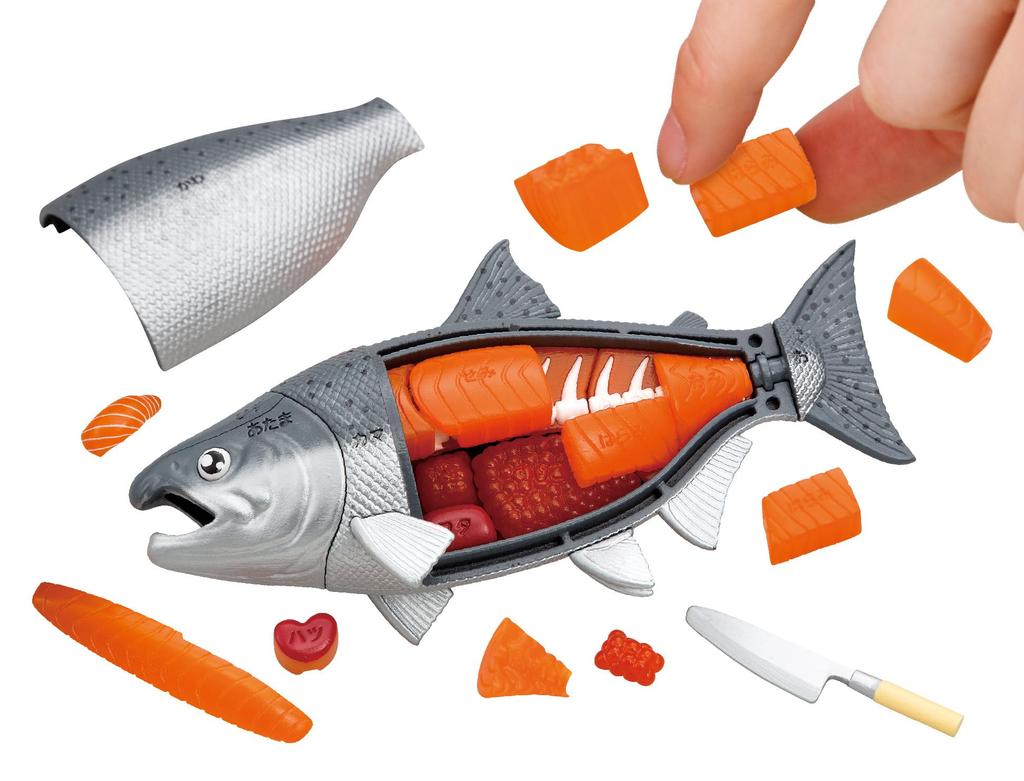Buy King Salmon Dissection Puzzle One!!