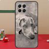 Weimaraner Dog Case For Honor Magic 7 Lite 6 8 Pro Honor 400 200 70 90 X8c X8b X9a X9b X9c X9d Win RT Cover