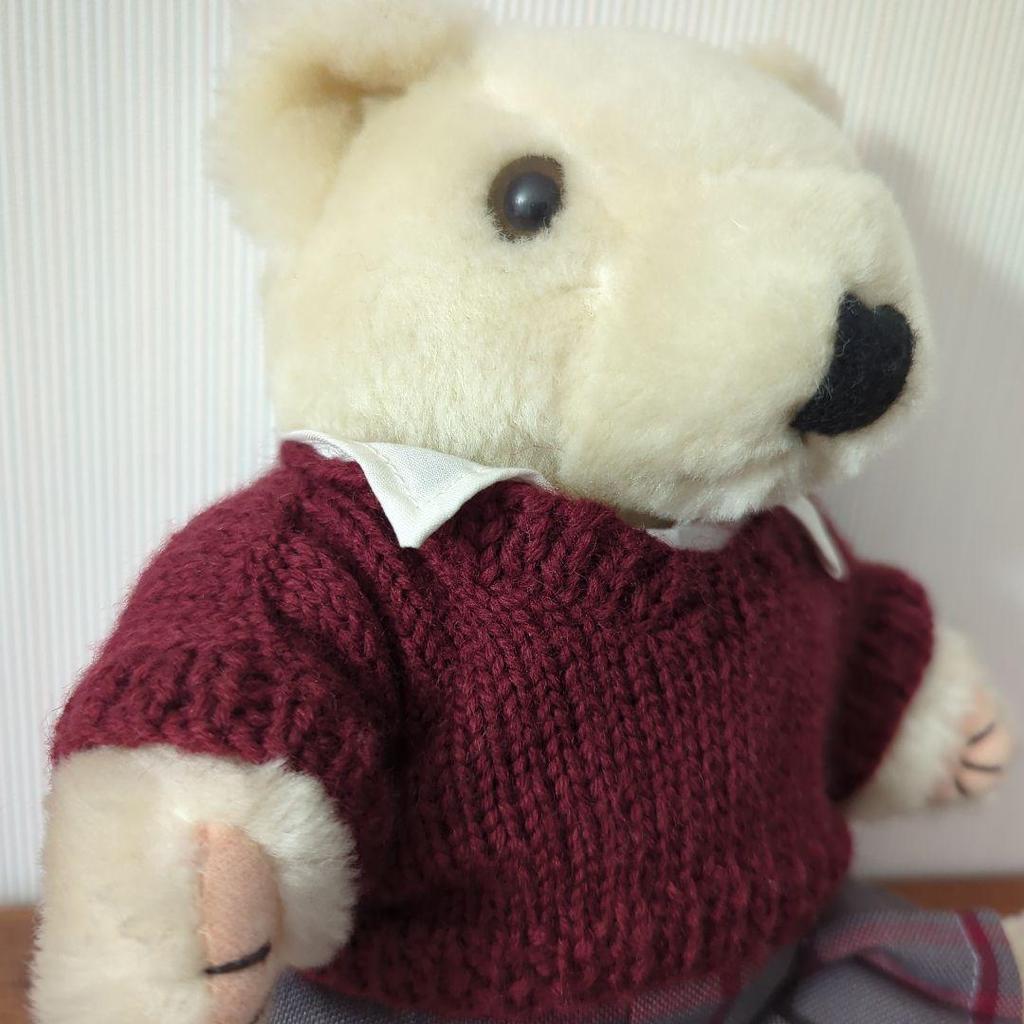 [USED] Teddy Bear High School Girl