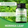 Cápsulas de folhas de moringa, 1000 mg por dose, antioxidante, melhora a saúde da pele e das articulações, adequado para adultos.