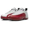 Jordan 12 Retro Low Golf Cherry Jordan DH4120-161