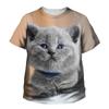 Summer Round Neck 3D Printed Cute Cat Pattern Top Fashionable Casual Short Sleeved Children's Boy and Girl Kids Unisex T-shirts