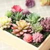 Realistic Fake Succulent Plants for Indoor & Outdoor Wall Decor