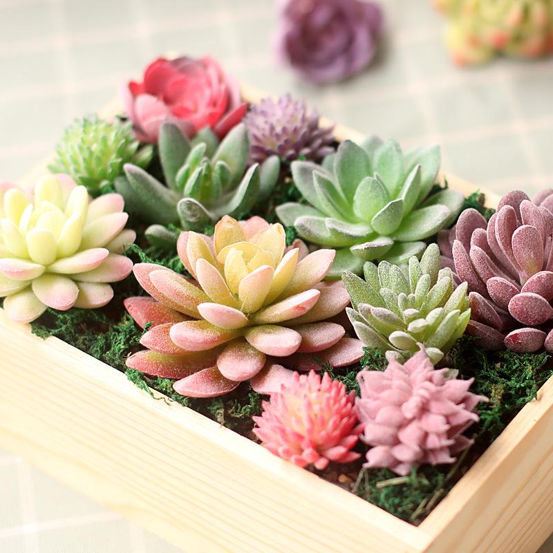 Realistic Fake Succulent Plants for Indoor & Outdoor Wall Decor