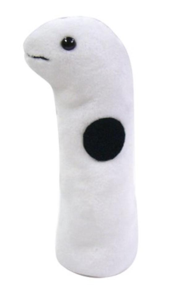 

Naito Design Institute Underwater Walk Friend Beans Plush Toy, Garden Eel, 15cm Tall