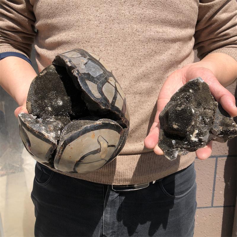 4.3kg Natural curvature of the furnishing articles Turtle grain stone egg Ball Septarian nodule Crystal Healing quartz