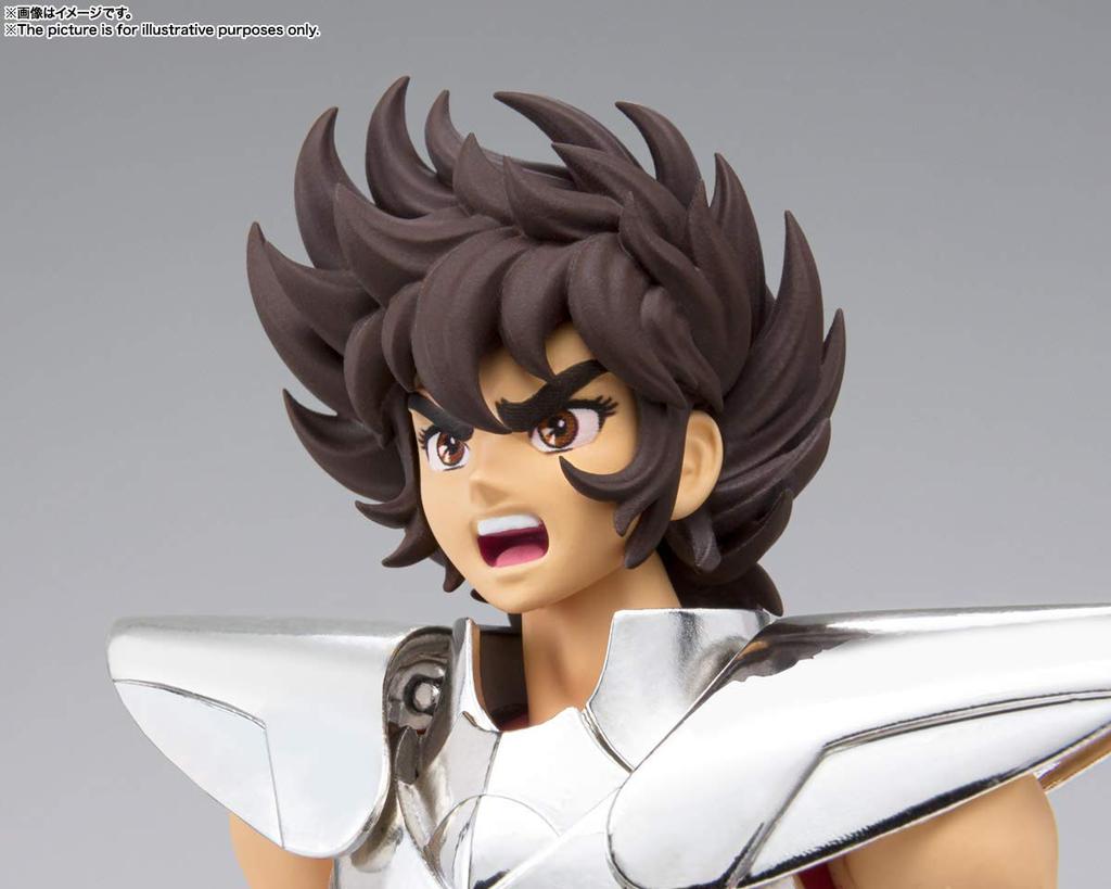TAMASHII NATIONS Saint Cloth Myth EX Saint Seiya Pegasus Seiya bronzová 170mm malovaná pohyblivá figurka (Finální plátno) Cca. ABS&PVC&Diecast