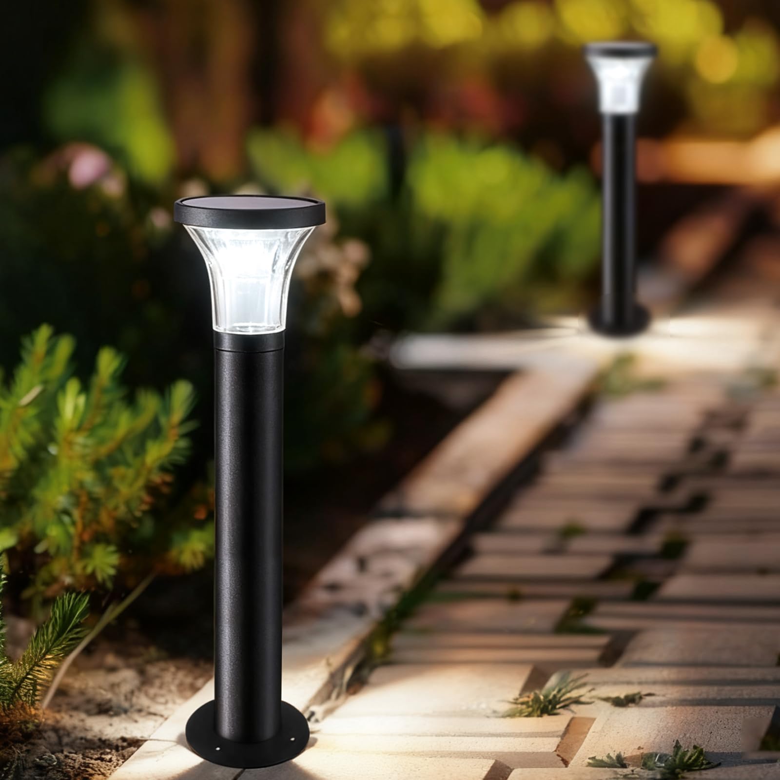 

Long-lasting illumination until the next morning GWSOLAR Lightweight Aluminum Pole Solar Light Set of 2 [100lm Brightness Clear Glass 58cm Height]