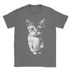 El Gato Sad Kitten Funny Meme Sad Crying Cat Munchkin Kitty T Shirt 100 Cotton TShirts For Man Tshirt Short Sleeve Top Tees