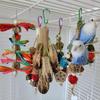 Colorful Hanging Parrot Chew Toy - Durable Bird Molar Swing For Training And Biting Entertainment 
