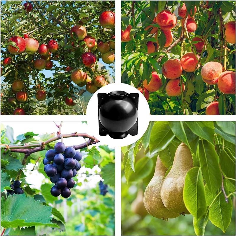 3PCS Plant Rooting Ball Grafting Rooting Box Breeding Case Plant Root Growing Box for Garden 5/8/12cm In Diameter Planting Tools