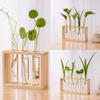 Small Fresh Hydroponic Green Vase Wooden Frame Vase Decorative Ornament Wall Mounted