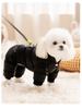 Graphene Black & Gold Hooded Down Jacket for Small Dogs & Cats - Autumn/Winter Pet Clothing