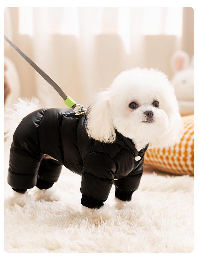 Graphene Black & Gold Hooded Down Jacket for Small Dogs & Cats - Autumn/Winter Pet Clothing