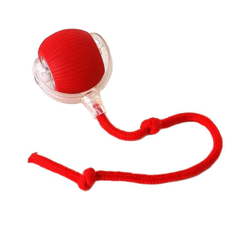 Automatic Dog Walking & Bite Resistant Toy Ball for Pet Exercise & Entertainment