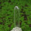 1 Stück Reagenzglas Ant Farm Wasser Feeder Wasser Fütterung Bereich Für Ant Nest Ant Farm Acryl Insekten Nester Für Haus Ameisen Haus Werkzeug