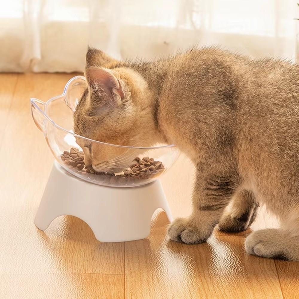 Stand Base Anti Spill Cat Bowls Orthopedic Design Elevated Bowls Set Indoor Cats