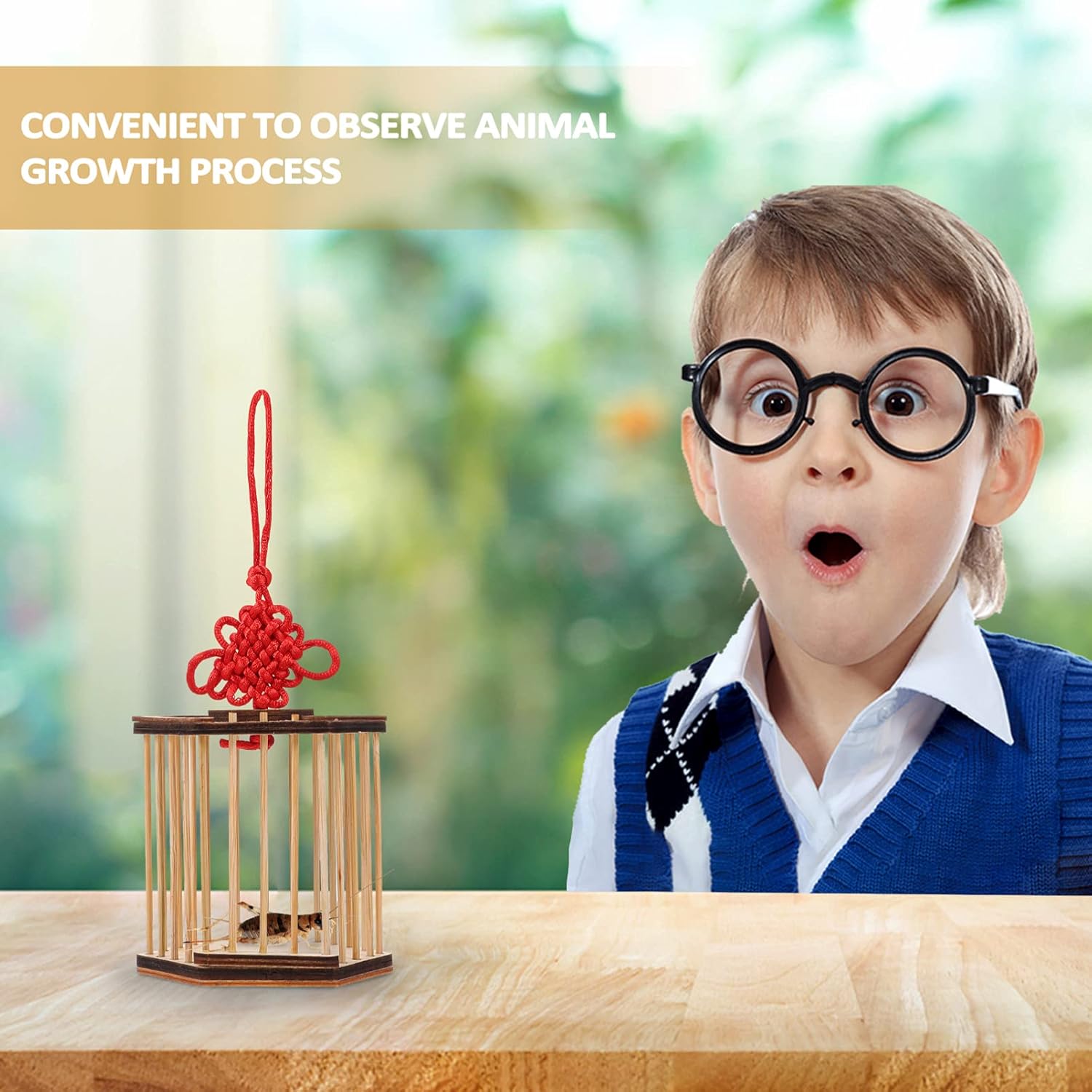 balacoo Cage Outdoor Toys Outdoor Toys Mini Toys Grasshopper Cage Wooden Cricket Cage Mini Bird Cage Habitat Box Carrying Cage for Grasshopper