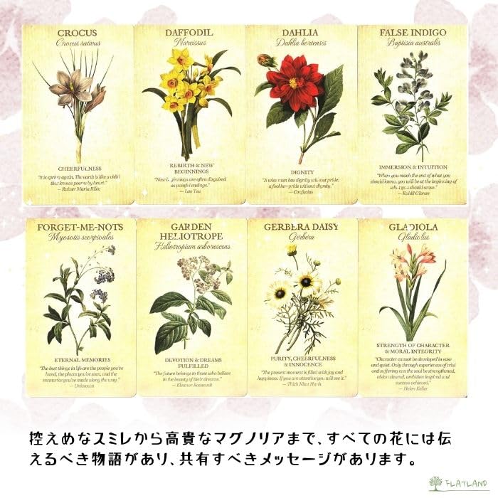 [Includes Japanese Instruction Manual] Botanical Inspirations Deck Oracle Cards FLATLAND Authentic Product Flower Fortune Telling Flower Meanings