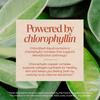 Nature's Way Chlorofresh, Flüssiges Chlorophyll, Minzgeschmack, 132 mg, 480 ml(16 fl oz), (132mg pro 2 EL)