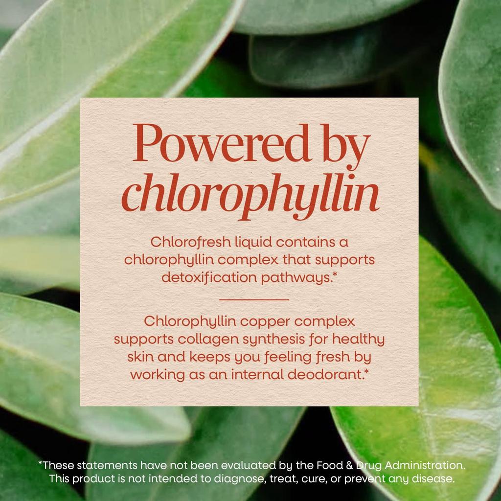 Nature's Way Chlorofresh, Flüssiges Chlorophyll, Minzgeschmack, 132 mg, 480 ml(16 fl oz), (132mg pro 2 EL)