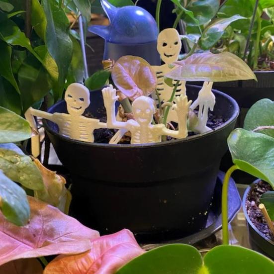 1 Satz Skelett Gartenstecker Halloween Weiße Skelett Dekorationen Gruselig