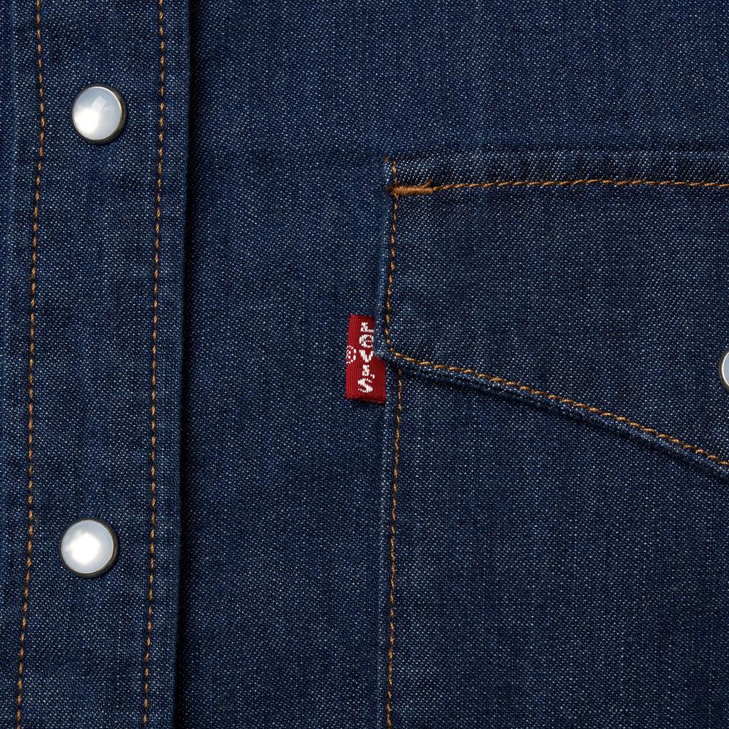 Levis American Classic Versatile Comfortable Fashionable Polo Loose Long Sleeve Shirt Women shirts 00APT-0000