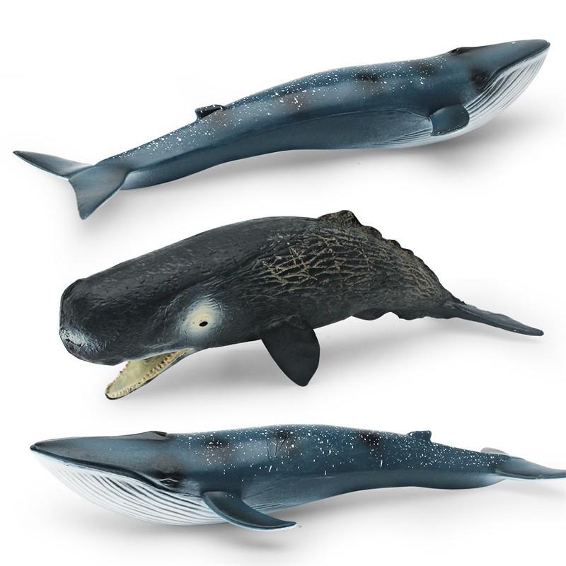 High-quality Realistic Whale Figurines Ideal For Kids' Ocean Education And Decor