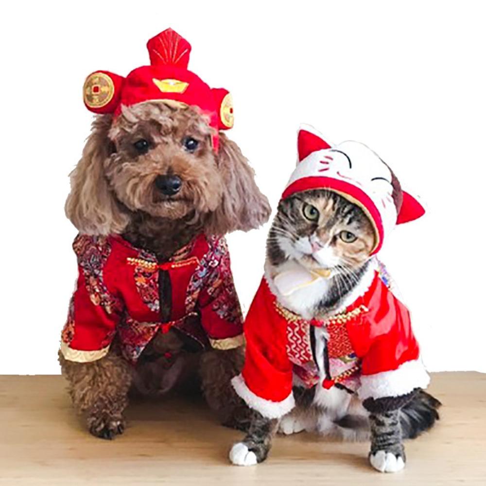 Pet Hood Cute Dog Teddy Dress Up Sunflower Cat Headgear Wig Cat Hat