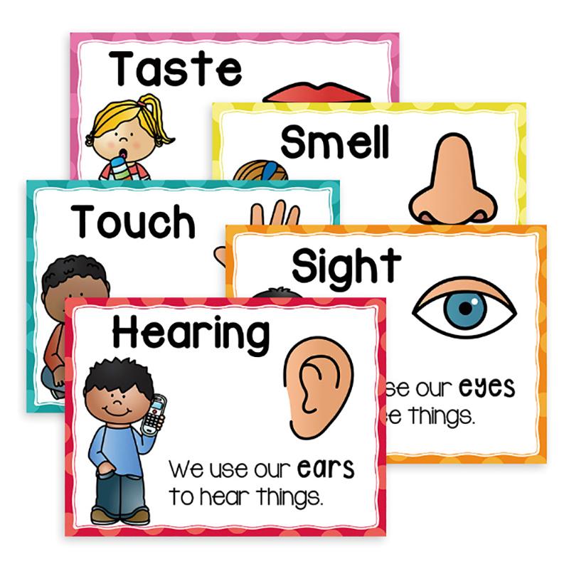 

5 шт. Плакаты на английском языке «Пять чувств» Украшение для класса Учебное пособие Учебные материалы Образовательная игрушка для школьного класса 5PCS