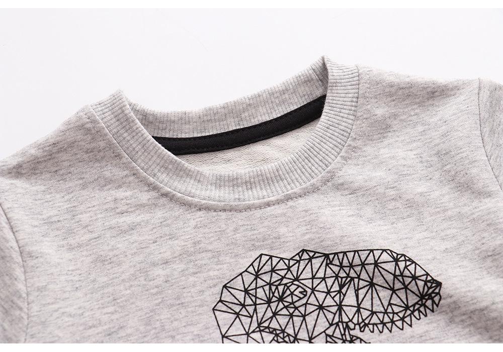 European Style Kids' Cotton Long-Sleeve Hoodie for Autumn and Winter