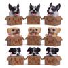 Box Cartoon Cute Corgi Husky Shepherd Dog Mini Model Ornament Desktop Decoration