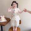 Girls' Cat Print Short Sleeve Top & Mesh Lantern Pants Two-Piece Summer Set
