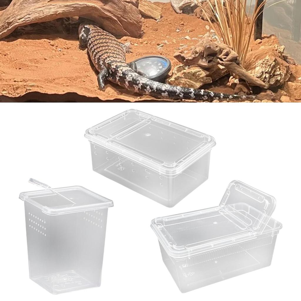 Reptile Feeding Box Turtle Transport Container Mini for Frog Scorpion Gecko