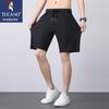 Men's Ice Silk Casual Quick-Dry Shorts