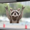 Car Hanging Ornament Raccoon Key Pendant Bag Charm Realistic Looking Adorable Animal Rearview Mirror Hanging Decor Car Interior Accessories