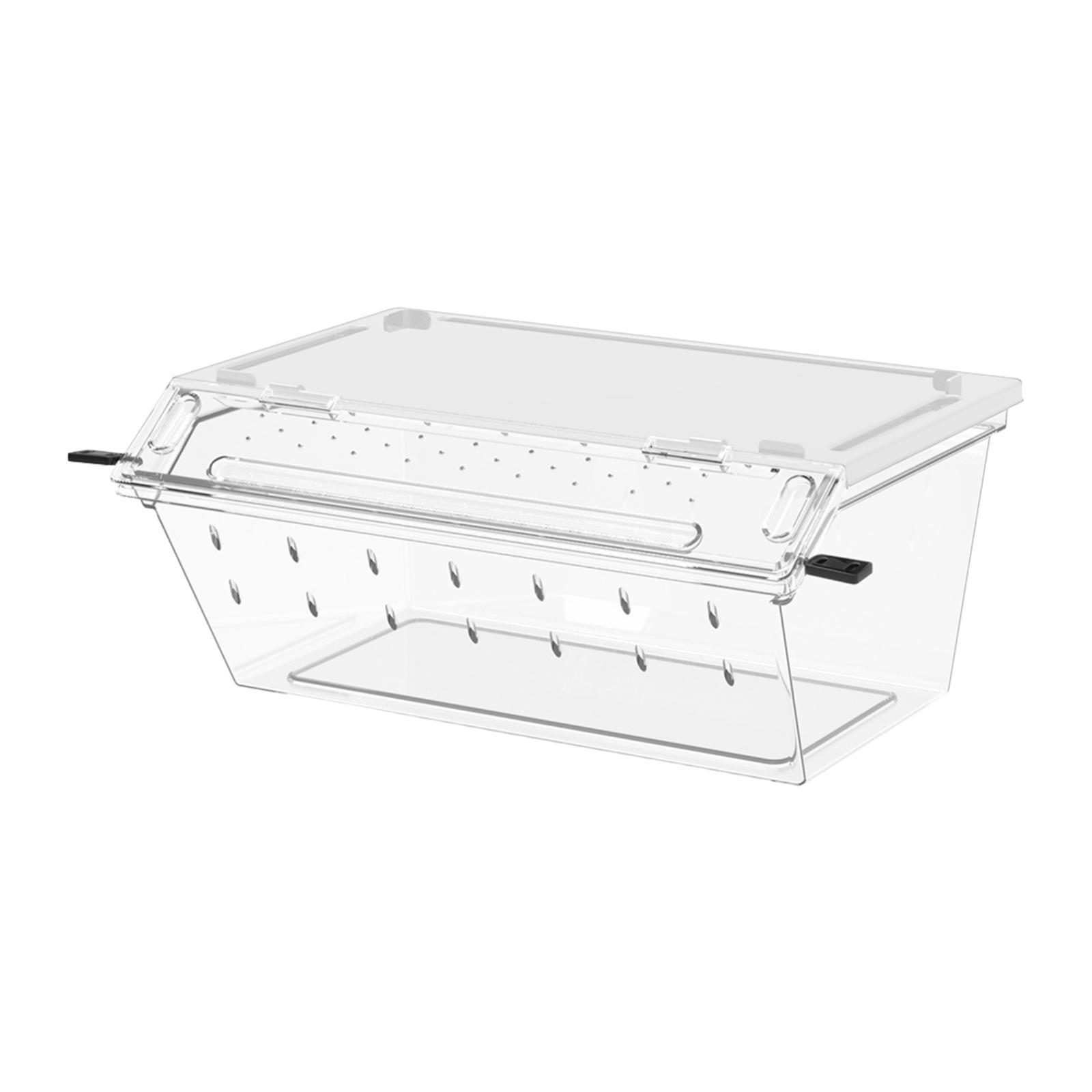 Reptile Breeding Box Acrylic Flexible Landscaping Space Portable Transparent for Snails Scorpion Chameleons Turtle
