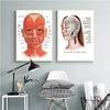 The Body Facial Anatomy Muscle Vessels Detailed Canvas Painting Human Structure Skeleton Education Poster Medical Decoracion