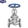 FGO Carbon Steel WCB Globe Valve