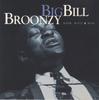 CD BIG BILL BROONZY  Warm Witty And Wise CK65517 COLUMBIA 1998 Japan Blues Used