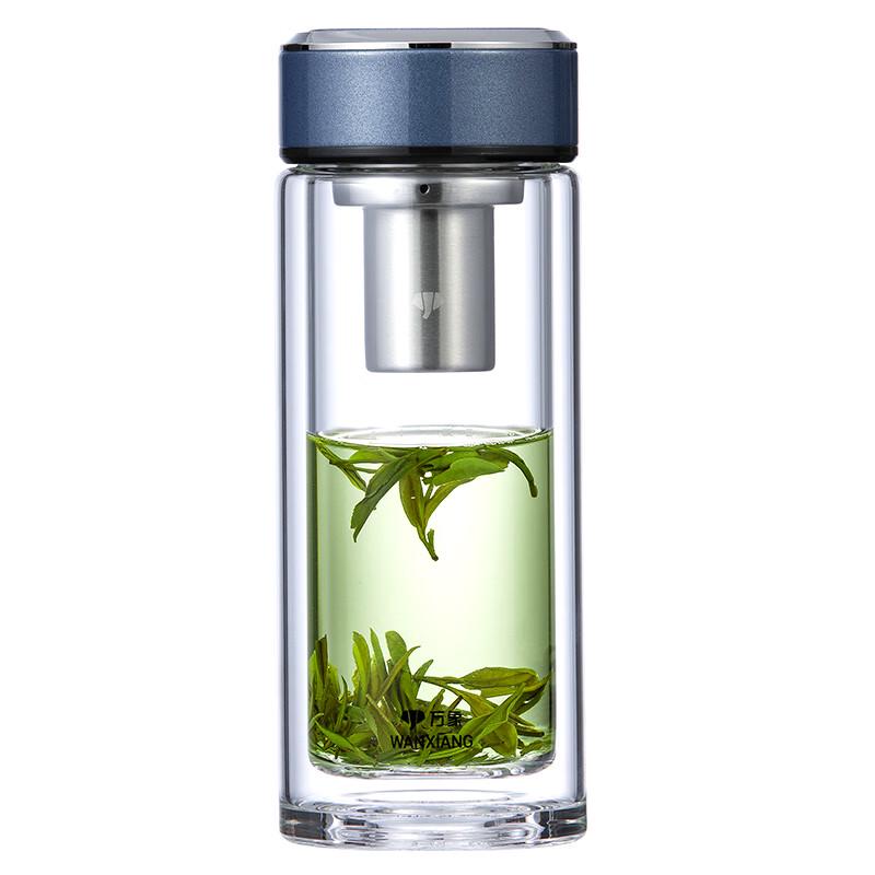 Double Wall Glass Tea Infuser Bottle