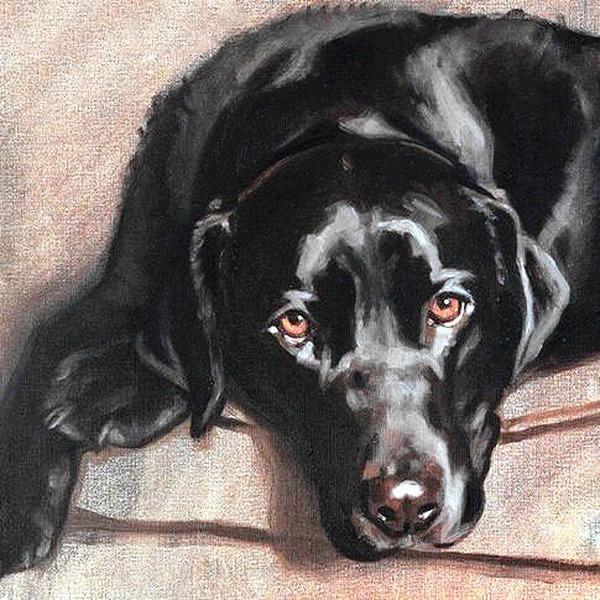Diamond Painting Full Round Dog 5D DIY Diamond Embroidery Mosaic Animals Rhinestone Pictures Handmade Gift Home Decor