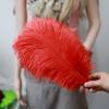 Ostrich Feathers 30-35Cm Wedding Road Guide Table Flower Ornament Ostrich Hair Decorative Clothing Accessories Diy