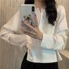 Spring Summer Autumn Solid Casual T-Shirts Female Pullover Women's Blouse Long Short Sleeve Slim Knitted Top Soft