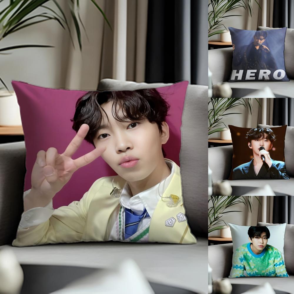 Trending LLlim Young Woonged Cushion Cover Antidustmite Pillowcase Invisible Zipper Silky Short Plush Sofa Cushion Cover