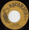7-Zoll-Schallplatte BORIS GARDENER HAPPENING Satin Soul ARCO003 Aquarius 1975 Jamaika Reggae Ska Dub Gebraucht